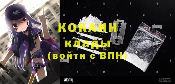 прущие грибы Абдулино