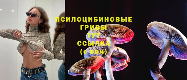 дмт Алексеевка
