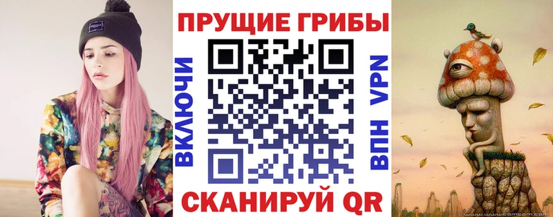 Псилоцибиновые грибы Psilocybine cubensis  Куртамыш 