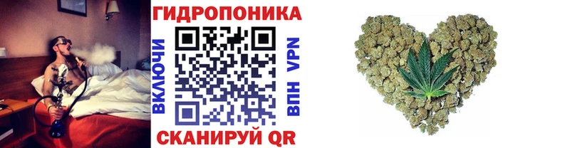 Канабис семена  дарк нет официальный сайт  Куртамыш  купить наркотик 